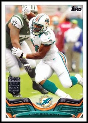 13T 226 Cameron Wake.jpg